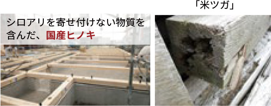 国産ヒノキ仕様