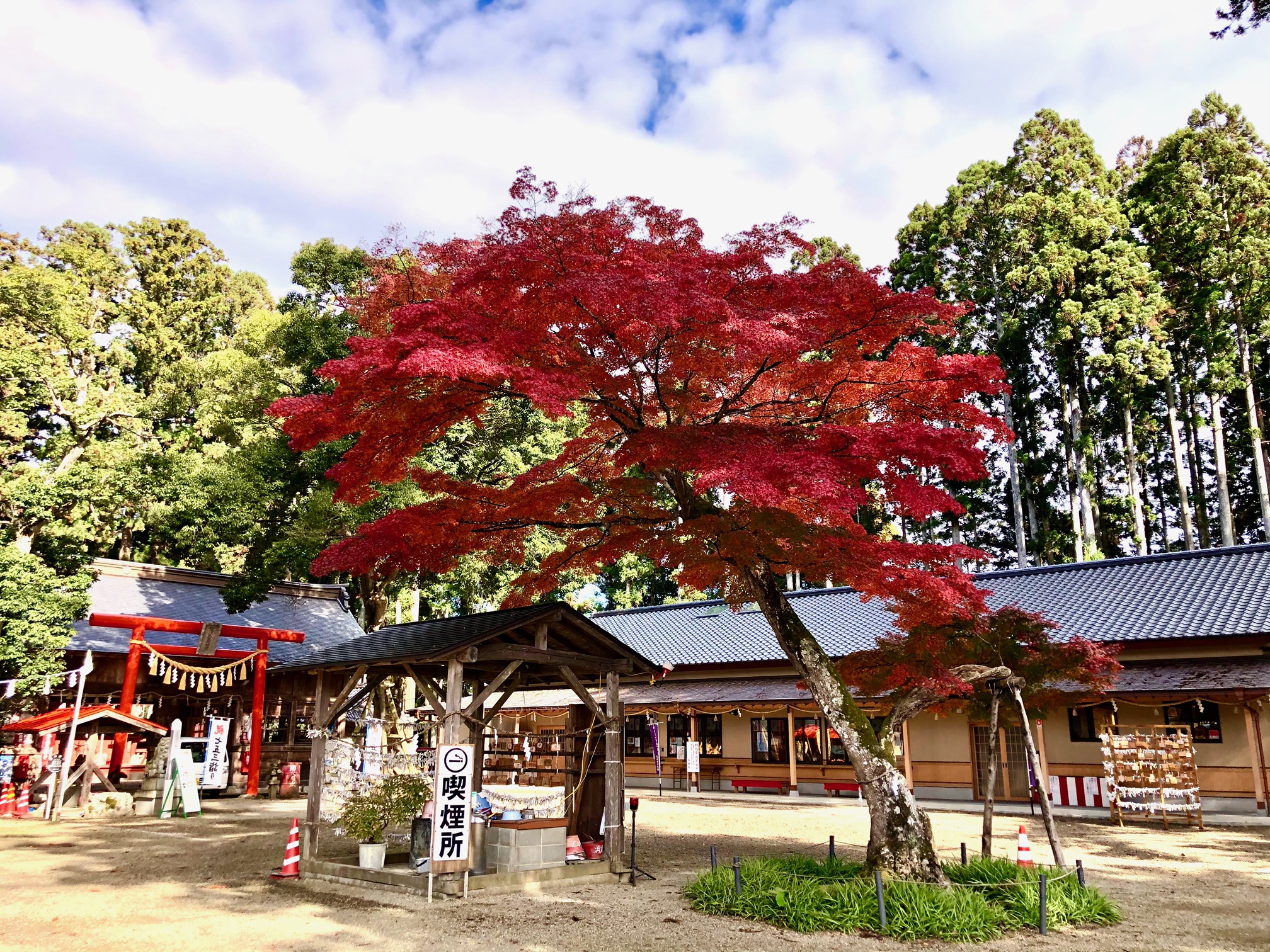 身近な秋を感じられる神社 3